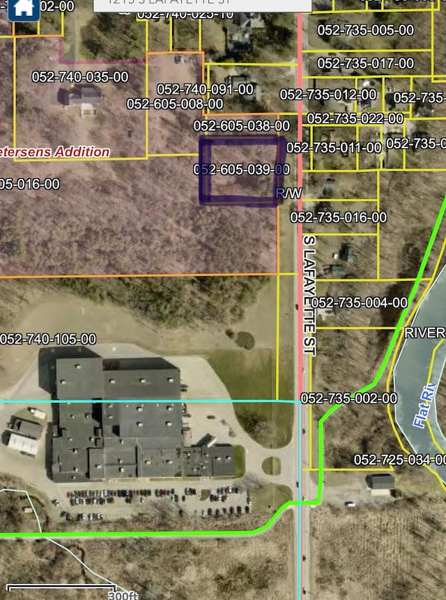 1215 S Lafayette St, Greenville, MI 48838 - photo 5