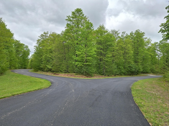 00 Hardwood Cir, Cadillac, MI 49601 - photo 2