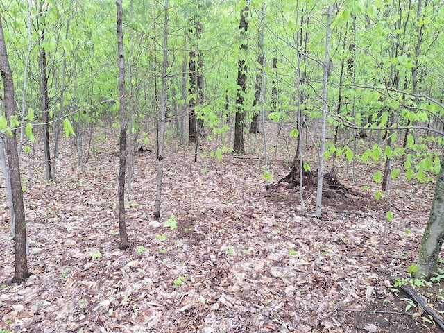 00 Hardwood Cir, Cadillac, MI 49601 - photo 4