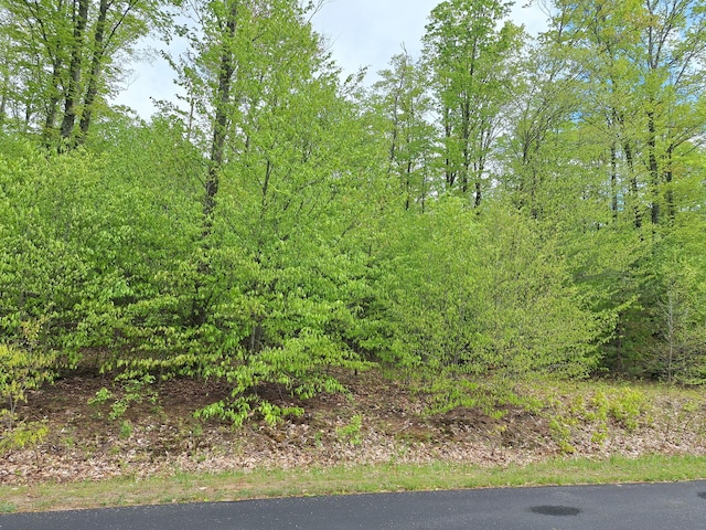 00 Hardwood Cir, Cadillac, MI 49601 - photo 5