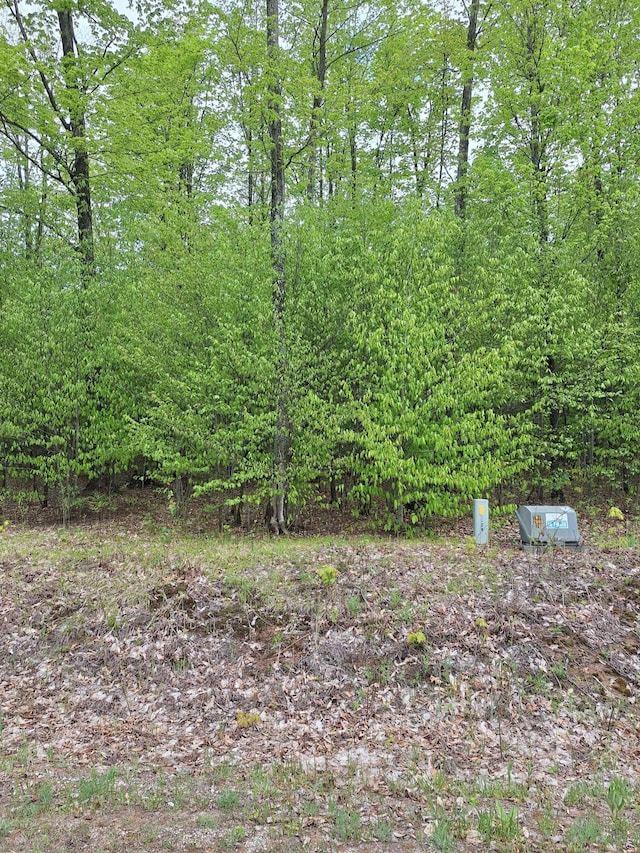 00 Hardwood Cir, Cadillac, MI 49601 - photo 3