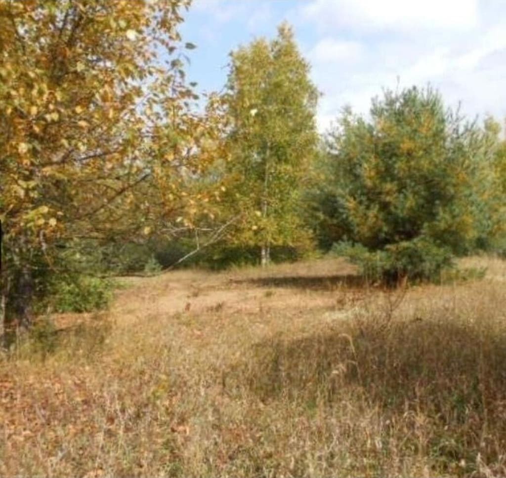 00 Pueblo Trl, Evart, MI 49631 - photo 1