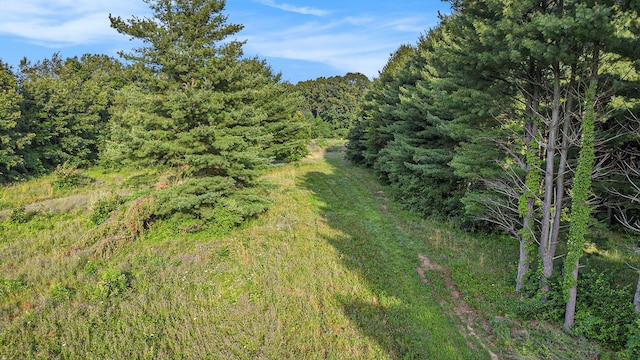 51244 Leach Rd, Dowagiac, MI 49047 - photo 2