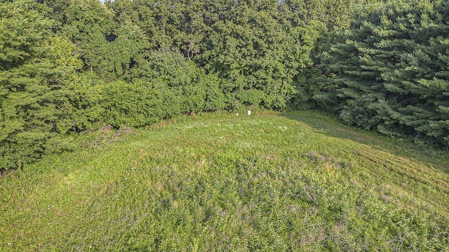 51244 Leach Rd, Dowagiac, MI 49047 - photo 4