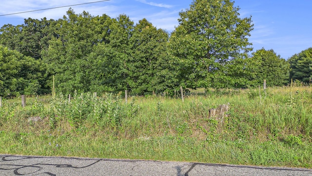 51244 Leach Rd, Dowagiac, MI 49047 - photo 6