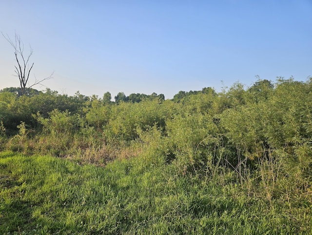 6635 Schnurr Ln, Middleville, MI 49333 - photo 3
