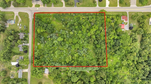 V/L Brooklyn Rd, Jackson, MI 49201 - photo 10