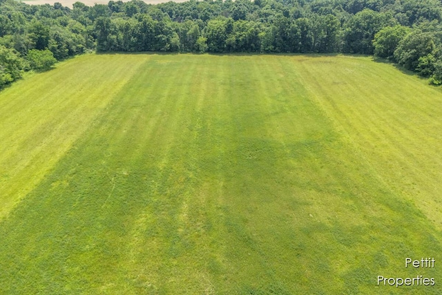 V/L W Strange Hwy, Mulliken, MI 48861 - photo 6