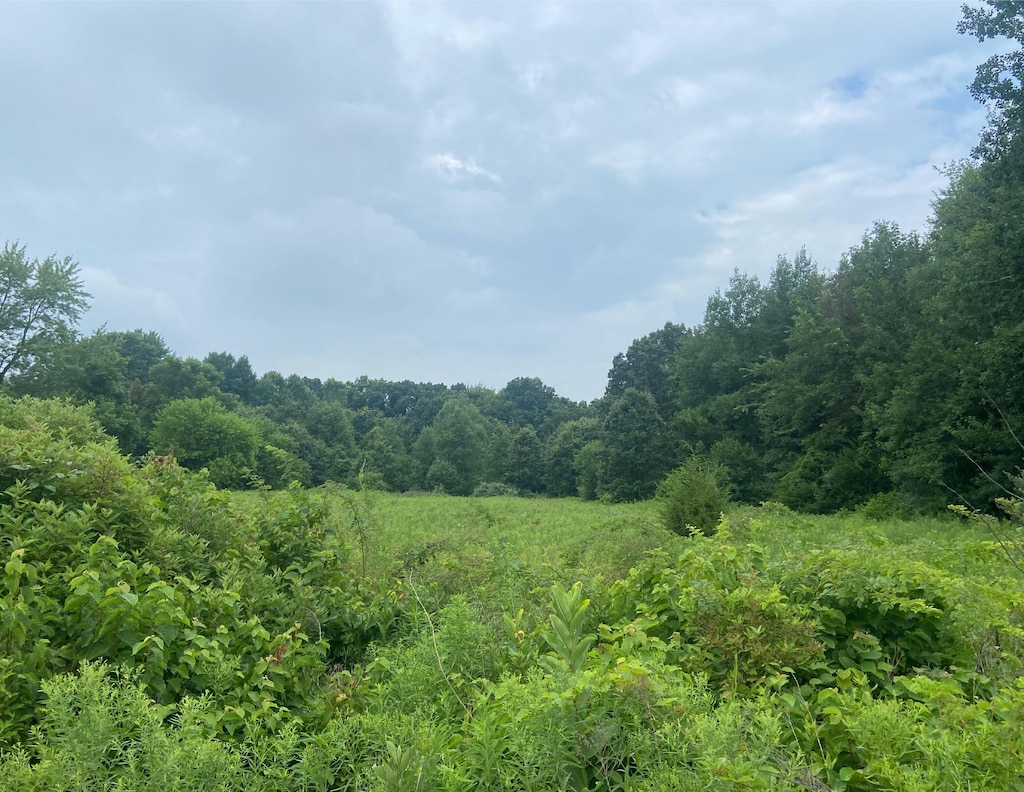 52700 Parkville Rd, Three Rivers, MI 49093 - photo 1