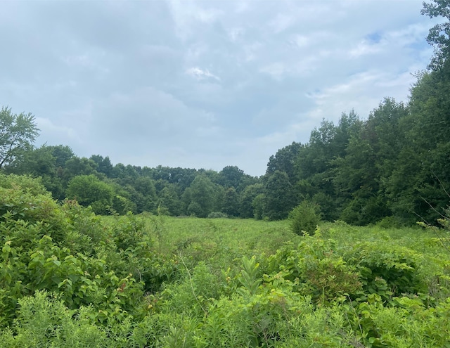 52700 Parkville Rd, Three Rivers, MI 49093 - photo 1