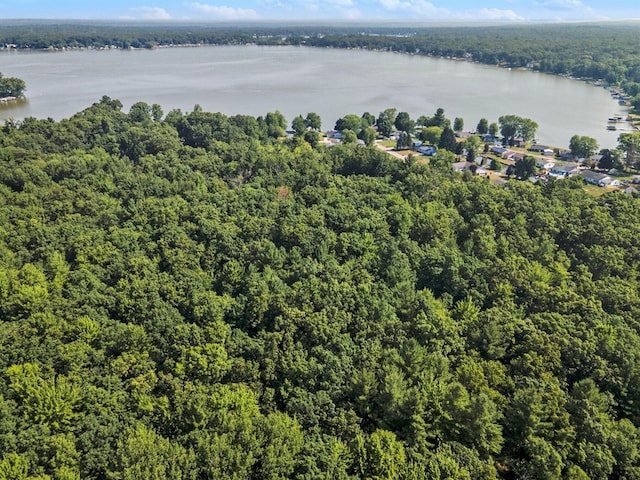 V/L3A E Hess Lake Dr, Grant, MI 49327 - photo 1