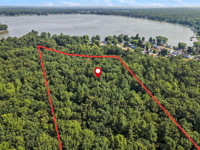 V/L3A E Hess Lake Dr, Grant, MI 49327 - photo 2