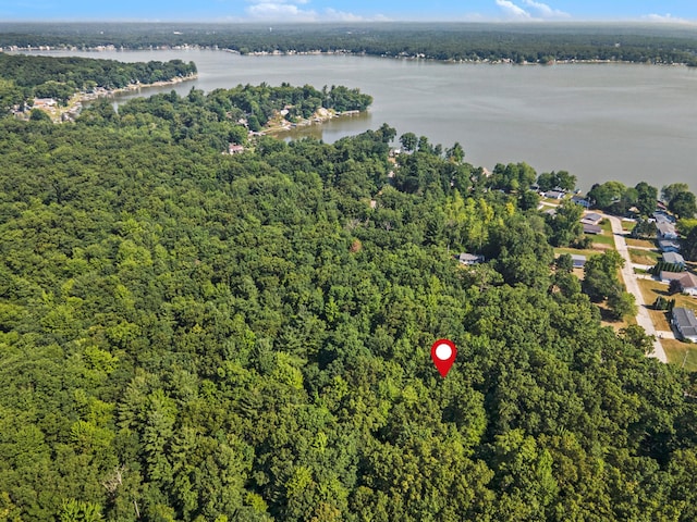V/L3A E Hess Lake Dr, Grant, MI 49327 - photo 3