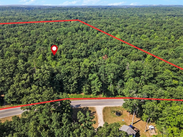 V/L3A E Hess Lake Dr, Grant, MI 49327 - photo 4