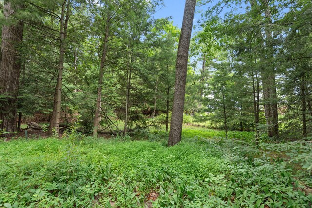 0 Lake Shore Dr, New Buffalo, MI 49117 - photo 14