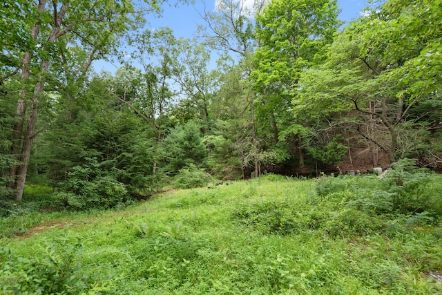 0 Lake Shore Dr, New Buffalo, MI 49117 - photo 15
