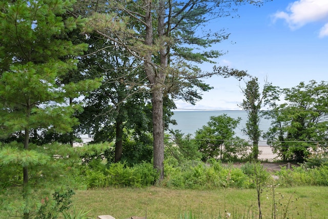 0 Lake Shore Dr, New Buffalo, MI 49117 - photo 7