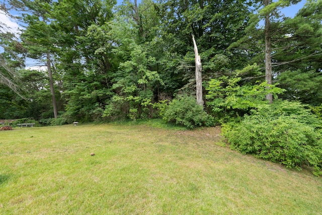 0 Lake Shore Dr, New Buffalo, MI 49117 - photo 9