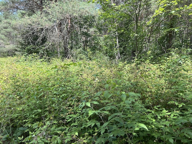 V/L Old Rugged Ln, Reed City, MI 49677 - photo 2