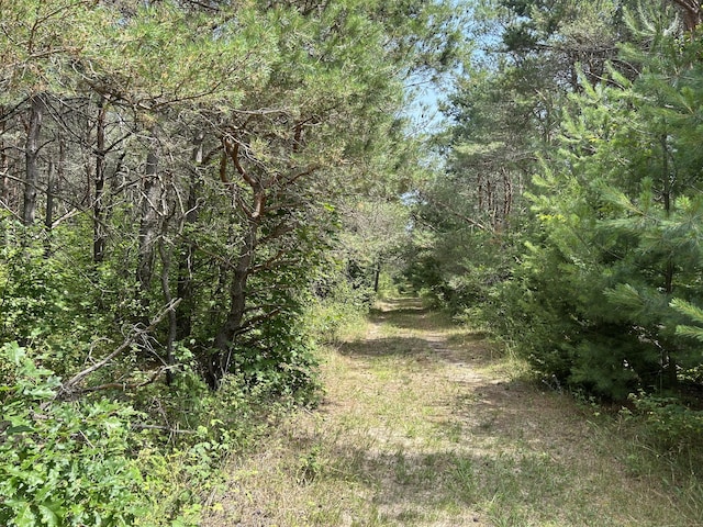 V/L Old Rugged Ln, Reed City, MI 49677 - photo 3