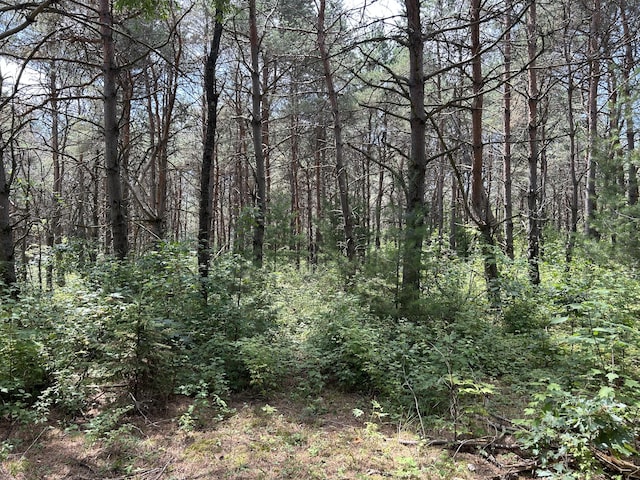 V/L Old Rugged Ln, Reed City, MI 49677 - photo 5