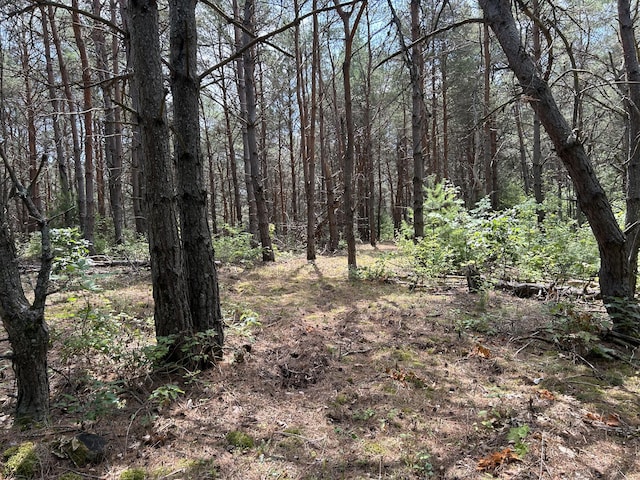V/L Old Rugged Ln, Reed City, MI 49677 - photo 6