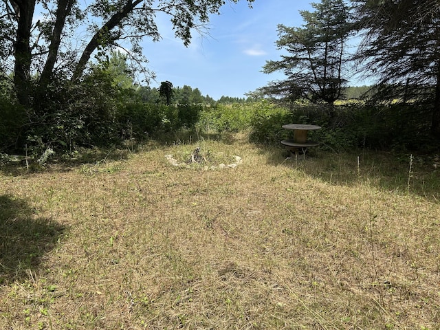 V/L Old Rugged Ln, Reed City, MI 49677 - photo 8