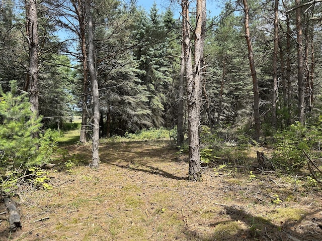V/L Old Rugged Ln, Reed City, MI 49677 - photo 10