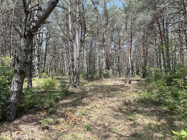 V/L Old Rugged Ln, Reed City, MI 49677 - photo 11