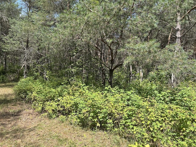 V/L Old Rugged Ln, Reed City, MI 49677 - photo 12