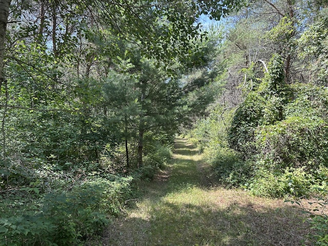 V/L Old Rugged Ln, Reed City, MI 49677 - photo 1