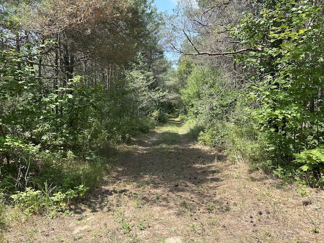 V/L Old Rugged Ln, Reed City, MI 49677 - photo 15