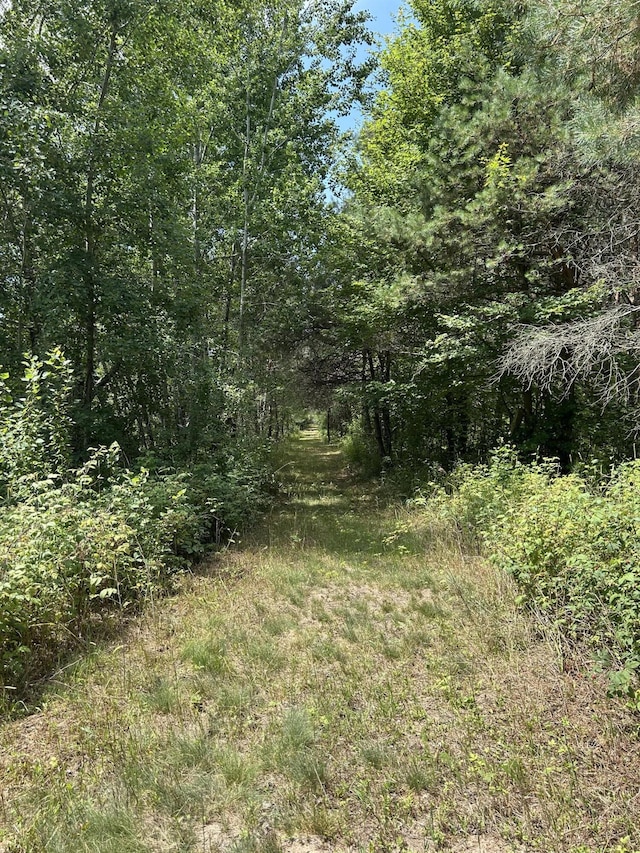 V/L Old Rugged Ln, Reed City, MI 49677 - photo 4