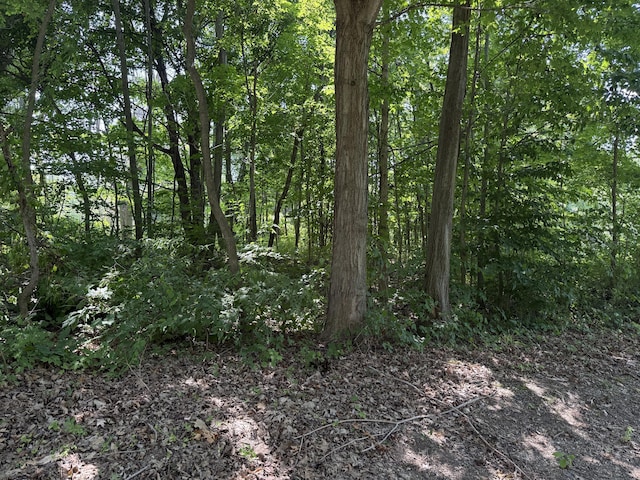 3190/3198 Prospect Ave, Coloma, MI 49038 - photo 1