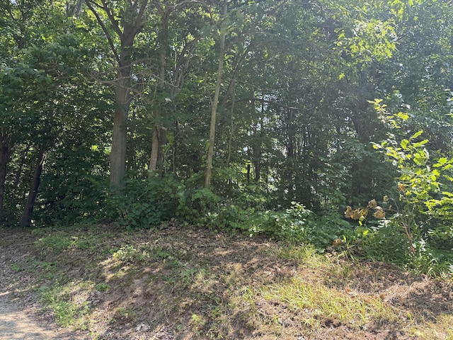 3190/3198 Prospect Ave, Coloma, MI 49038 - photo 2