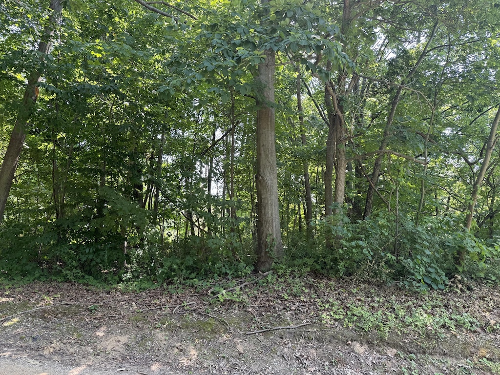 3190/3198 Prospect Ave, Coloma, MI 49038 - photo 3
