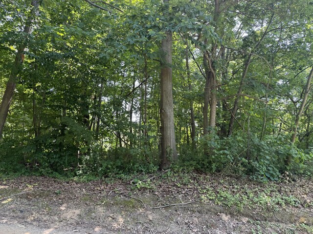 3190/3198 Prospect Ave, Coloma, MI 49038 - photo 3