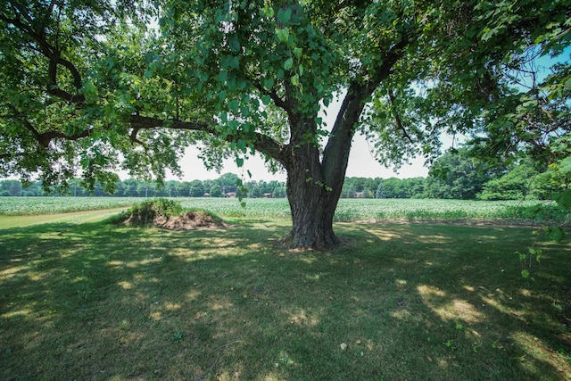4478 M-139, Saint Joseph, MI 49085 - photo 13