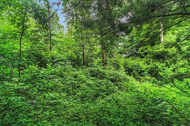 V/L Guernsey Lake Rd, Delton, MI 49046 - photo 6