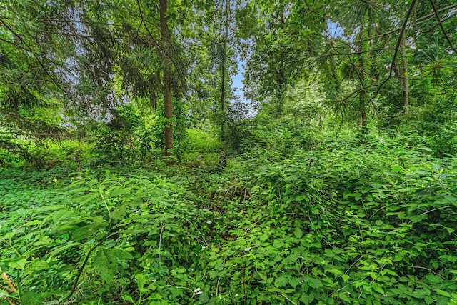V/L Guernsey Lake Rd, Delton, MI 49046 - photo 7