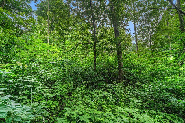 V/L Guernsey Lake Rd, Delton, MI 49046 - photo 8