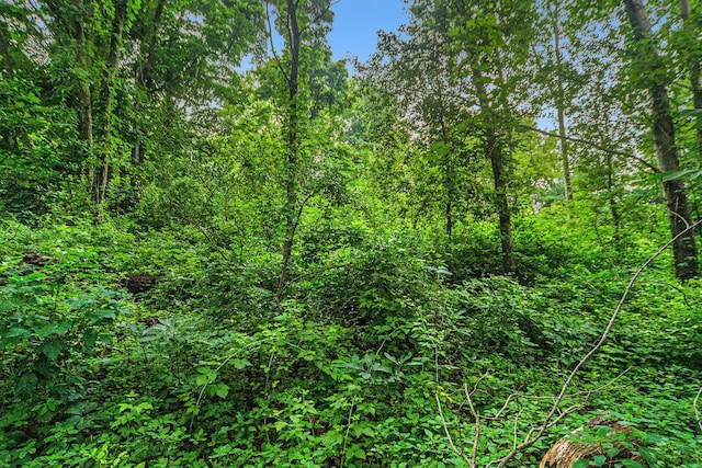 V/L Guernsey Lake Rd, Delton, MI 49046 - photo 13