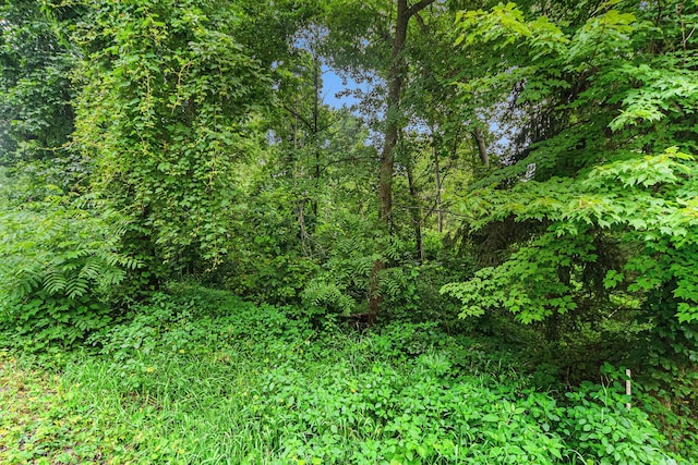 V/L Guernsey Lake Rd, Delton, MI 49046 - photo 14