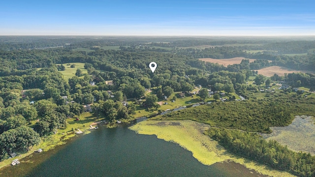 V/L Guernsey Lake Rd, Delton, MI 49046 - photo 3