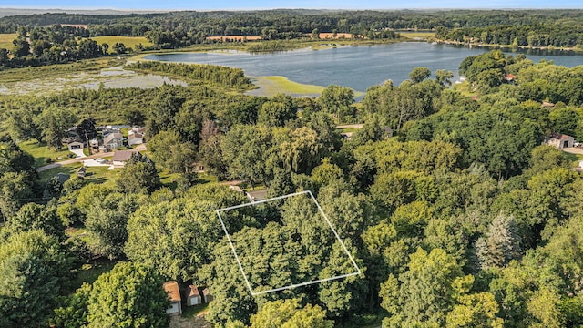 V/L Guernsey Lake Rd, Delton, MI 49046 - photo 5