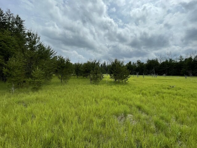00 E 10 Mile Rd Unit Parcel G-2, Irons, MI 49644 - photo 15