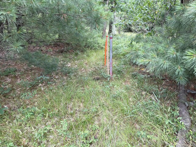 00 E 10 Mile Rd Unit Parcel G-2, Irons, MI 49644 - photo 23