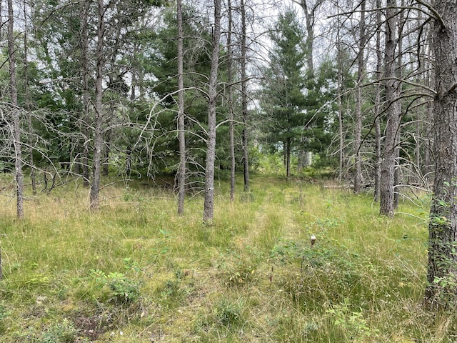 00 E 10 Mile Rd Unit Parcel G-2, Irons, MI 49644 - photo 6