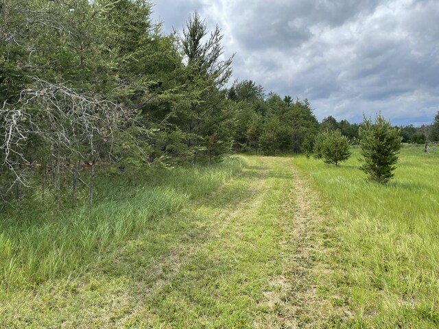 00 E 10 Mile Rd Unit Parcel G-2, Irons, MI 49644 - photo 13