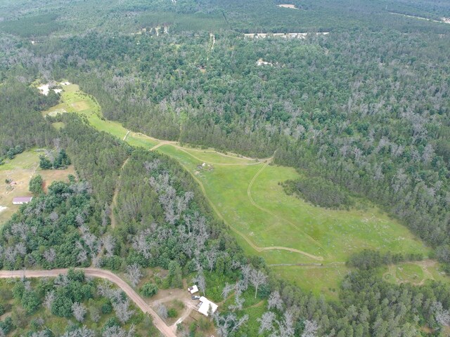 00 E 10 Mile Rd Unit Parcel G-2, Irons, MI 49644 - photo 27